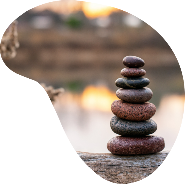 https://hummingbirdcc.com.sg/wp-content/uploads/2022/11/EngagementForms.png