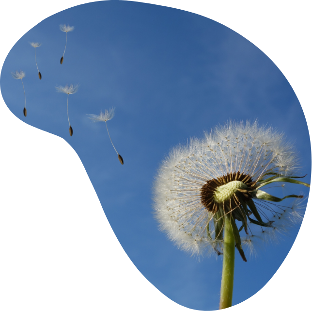 https://hummingbirdcc.com.sg/wp-content/uploads/2022/11/WhatHappens.png